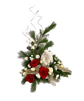 *SOLD OUT* Holy Night Bud & Bloom Signature Arrangement