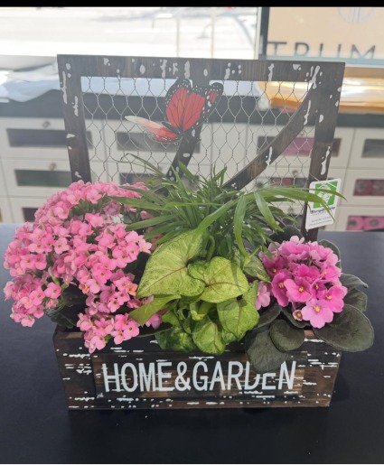 Home and Garden Box Planter Planter