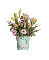 Home  Arrangement 