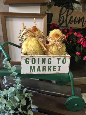 HOME ARRANGEMENT/GIFT/HOME
