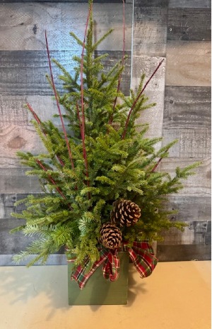 Home for the Holiday 