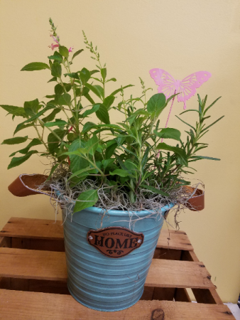 Home Herb Pot