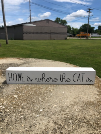 home is where the cat is  