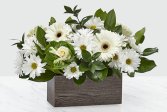 Home Sweet Home™ Arrangement