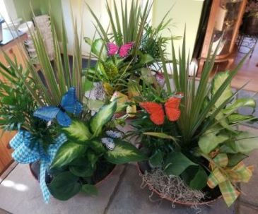 Home Sweet Home Dishgarden