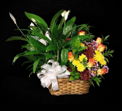 Home Sweet Home Fall Plant and Floral Design