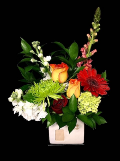 Category Image