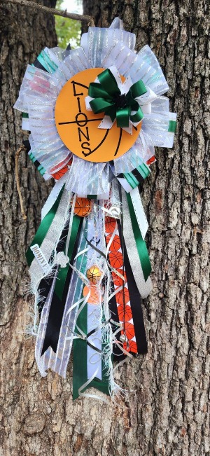 Homecoming Mum - Medium  
