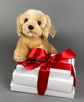 Homemade Chocolates and Stuffed Animal 
