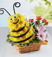 Honey Bee EVERYDAY