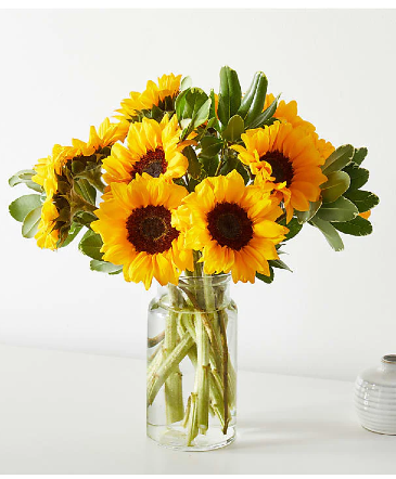 Honey Bee Sunflower Bouquet in Fort Worth, TX | DARLA'S FLORIST Honey Bee Sunflower Bouquet in Fort Worth, TX | DARLA'S FLORIST
