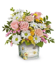 Category Image
