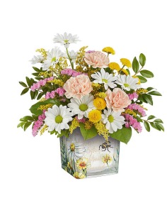 Category Image