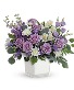 Honey Lavender Blooms Bouquet Fresh Mix