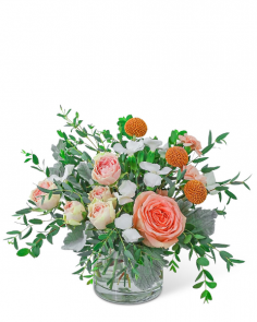 Category Image