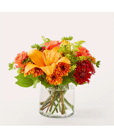 Honeycrisp V5536s Bouquet