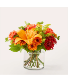 Honeycrisp V5536s Bouquet