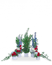 Honorable Tribute Sympathy