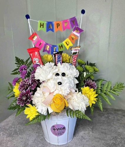 Hooray It’s Your Day