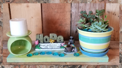 Hope Achieves The Impossible Succulent Garden