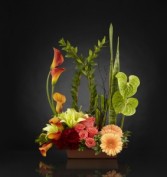 Hopeful Promises Luxury Flowers