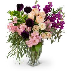 Category Image