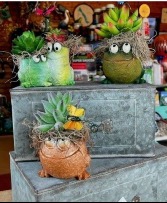 Hoppy To Be Back Silk Succulent Keepsake