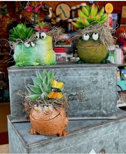 Hoppy To Be Back Silk Succulent Keepsake
