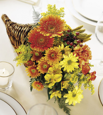 HORN OF PLENTY FALL