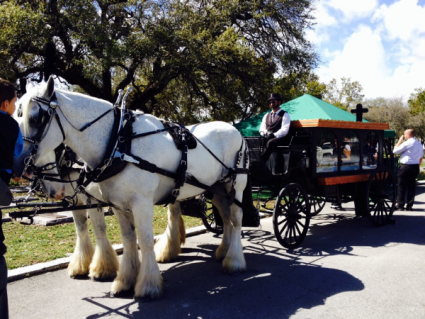 HORSE AND CARRIAGE