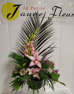 HOSPITAL INFORMATION PLEASE READ in Red Deer, AB | LA PETITE JAUNE FLEUR HOSPITAL INFORMATION PLEASE READ in Red Deer, AB | LA PETITE JAUNE FLEUR