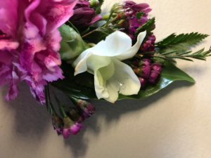 Hot Carnation Prom Corsage/Wristlet