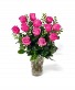 Hot Pink  Dozen Hot pink roses 