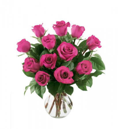 Hot Pink Dozen Roses