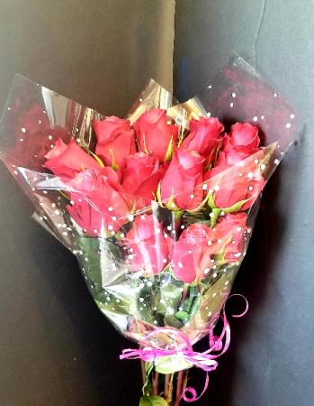 HOT PINK DOZEN ROSES Wrapped