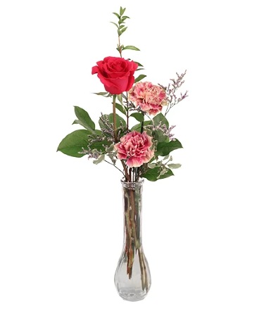 Hot Pink Dream Rose Arrangement in Orange, TX | Nan's Floral & Wedding Designs