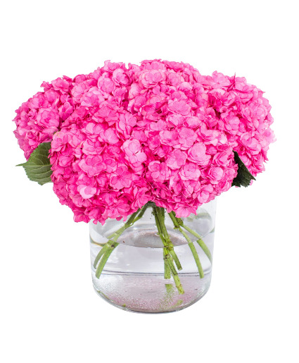 Hot pink Hydrangea Bouquet 
