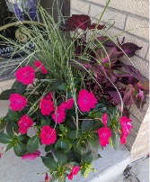 Hot Pink Impatiens Mixed Porch Pot PB253 