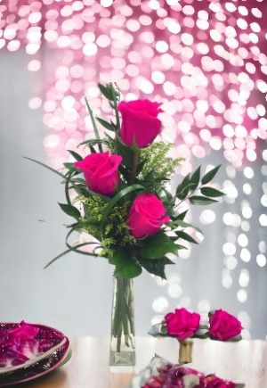 Hot Pink Lady Bud Vase 3 Hot Pink Roses 
