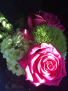 Hot Pink Pazazz High End