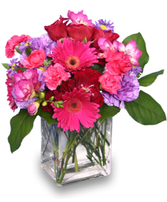 Hot Pink Rose and Daisy Cube - Centerville Florists