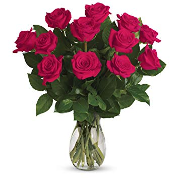 images of hot pink roses