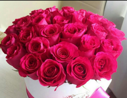 Hot pink rose hat box 30 roses 