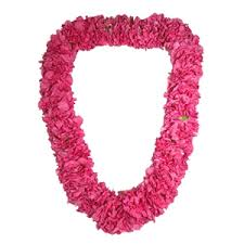 HOT PINK/MAGENTA CARNATION LEI GRADUATION LEI