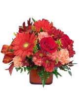Hot & Spicy Cube Arrangement