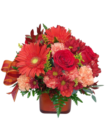 Hot & Spicy Cube Arrangement in Sun City Center, FL | SUN CITY CENTER FLOWERS AND GIFTS