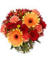 Hot & Spicy Vase of Flowers