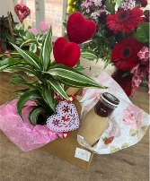 House Plant & Coffee to-go box