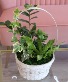 Purchase this funeral home arrangement