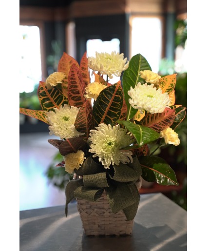 House Plant With Fresh Flowers